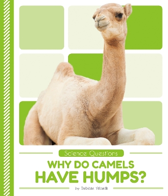 Book cover for Science Questions: Why Do Camels Have Humps?