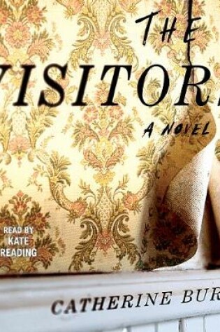 Cover of The Visitors