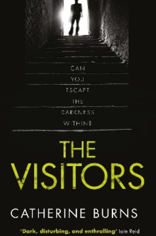 Cover of The Visitors