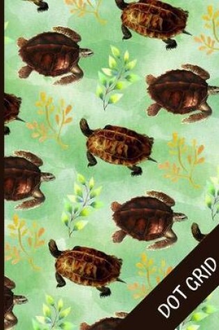 Cover of Turtle