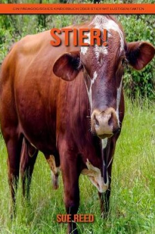 Cover of Stier! Ein pädagogisches Kinderbuch über Stier mit lustigen Fakten