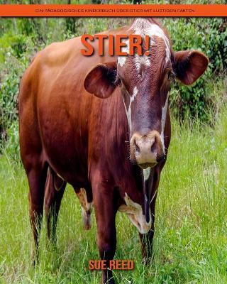 Book cover for Stier! Ein pädagogisches Kinderbuch über Stier mit lustigen Fakten