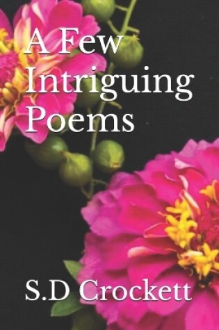 Cover of A Few Intriguing Poems