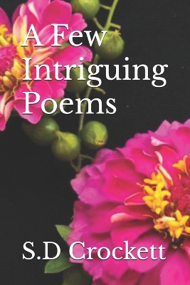 Book cover for A Few Intriguing Poems