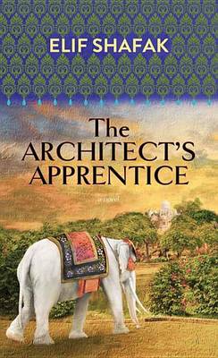 Book cover for The Architect's Apprentice