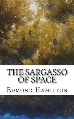 Book cover for The Sargasso of Space