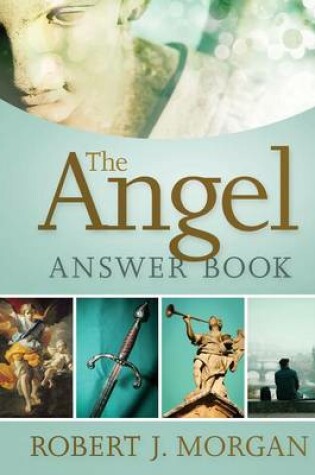 Cover of Angel Answer Book