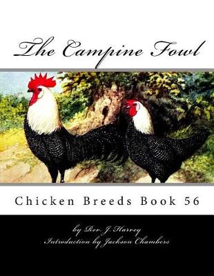 Book cover for The Campine Fowl