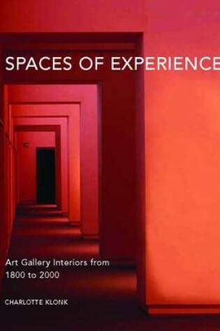 Cover of Spaces of Experience