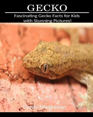 Book cover for Gecko