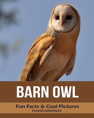 Book cover for Barn Owl