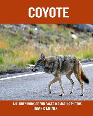 Book cover for Coyote