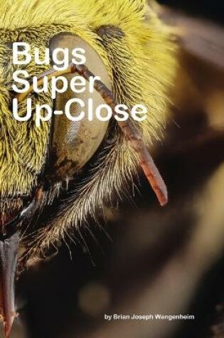Cover of Bugs Super Up-Close
