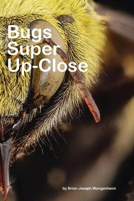 Book cover for Bugs Super Up-Close