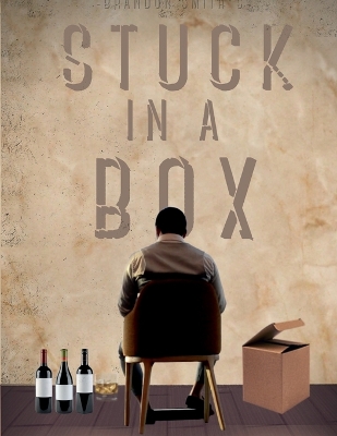 Book cover for Brandon Smith's STUCK IN A BOX