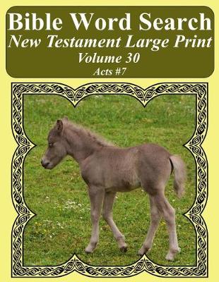 Cover of Bible Word Search New Testament Large Print Volume 30