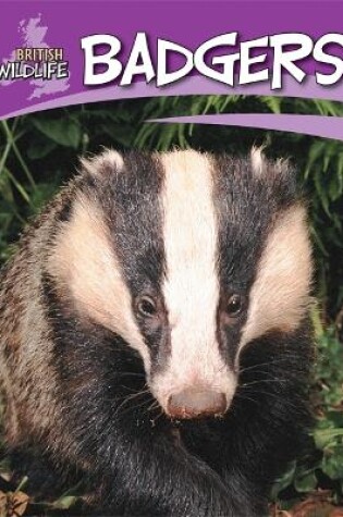 Cover of British Wildlife: Badgers