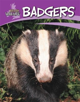 Book cover for British Wildlife: Badgers