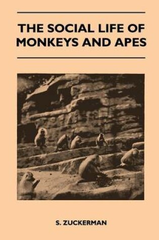 Cover of The Social Life of Monkeys and Apes