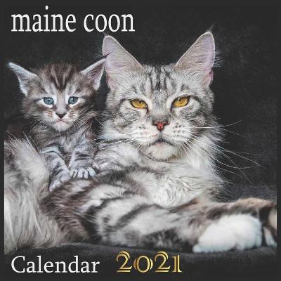 Book cover for maine coon