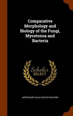 Book cover for Comparative Morphology and Biology of the Fungi, Mycetozoa and Bacteria
