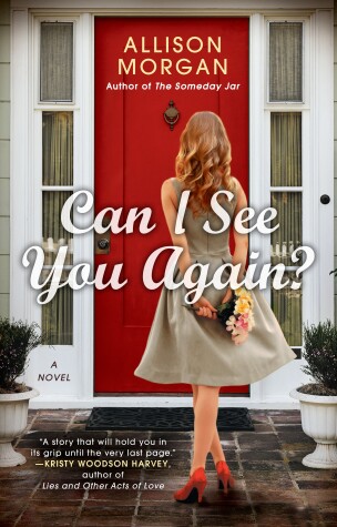 Book cover for Can I See You Again?