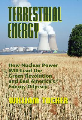 Book cover for Terrestrial Energy