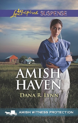 Cover of Amish Haven