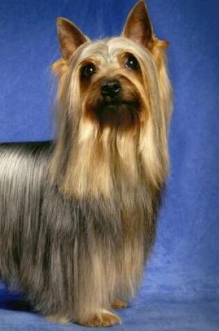 Cover of Silky Terrier