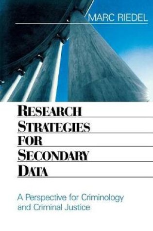 Cover of Research Strategies for Secondary Data