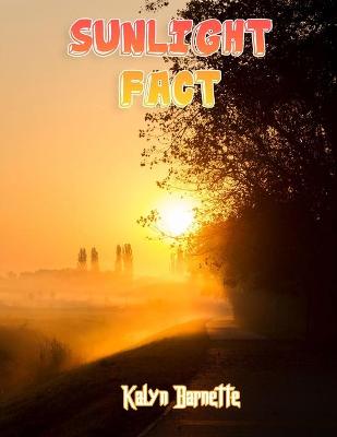 Book cover for Sunlight Fact