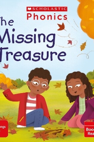 Cover of The Missing Treasure (Set 13)