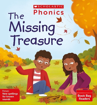 Book cover for The Missing Treasure (Set 13)