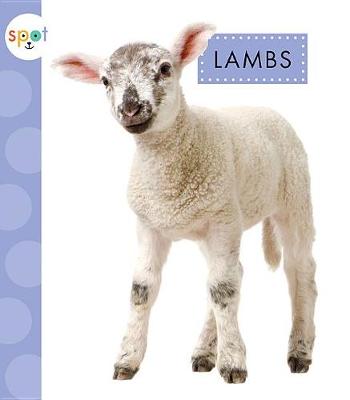 Book cover for Lambs