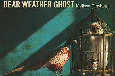 Book cover for Dear Weather Ghost