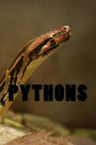 Cover of Pythons