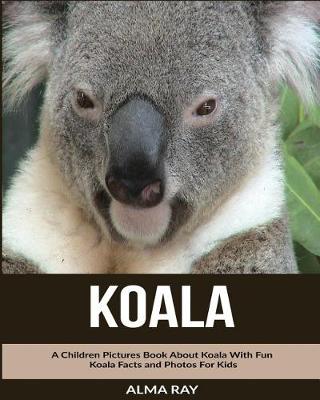 Book cover for Koala