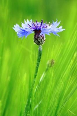 Book cover for A Cornflower - Lined Notebook with Margins