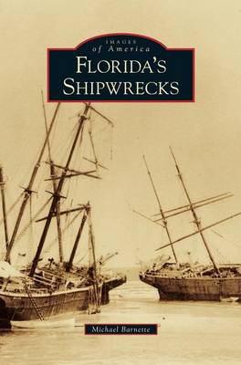 Book cover for Florida's Shipwrecks