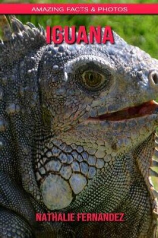 Cover of Iguana