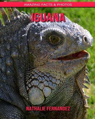 Book cover for Iguana