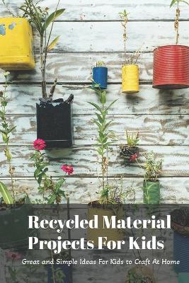 Book cover for Recycled Material Projects For Kids