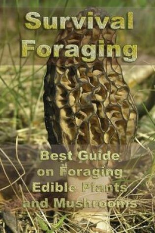 Cover of Survival Foraging