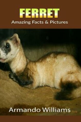 Cover of Ferret