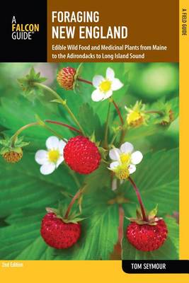 Book cover for Foraging New England