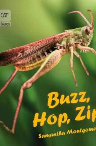 Cover of Buzz, Hop, Zip!