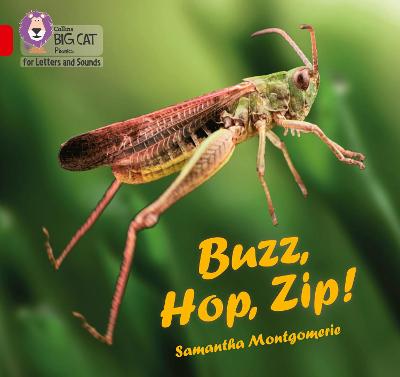 Cover of Buzz, Hop, Zip!