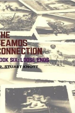 Cover of The Teamos Connection Book Six: Loose Ends