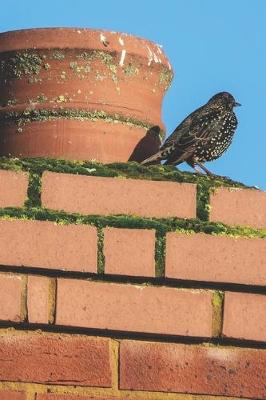 Book cover for Starling on the Chimney Journal