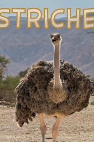 Cover of Ostriches